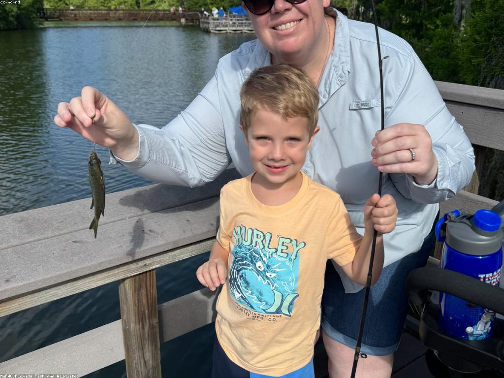 គំនិតសកម្មភាពសប្បាយសម្រាប់គ្រួសារ