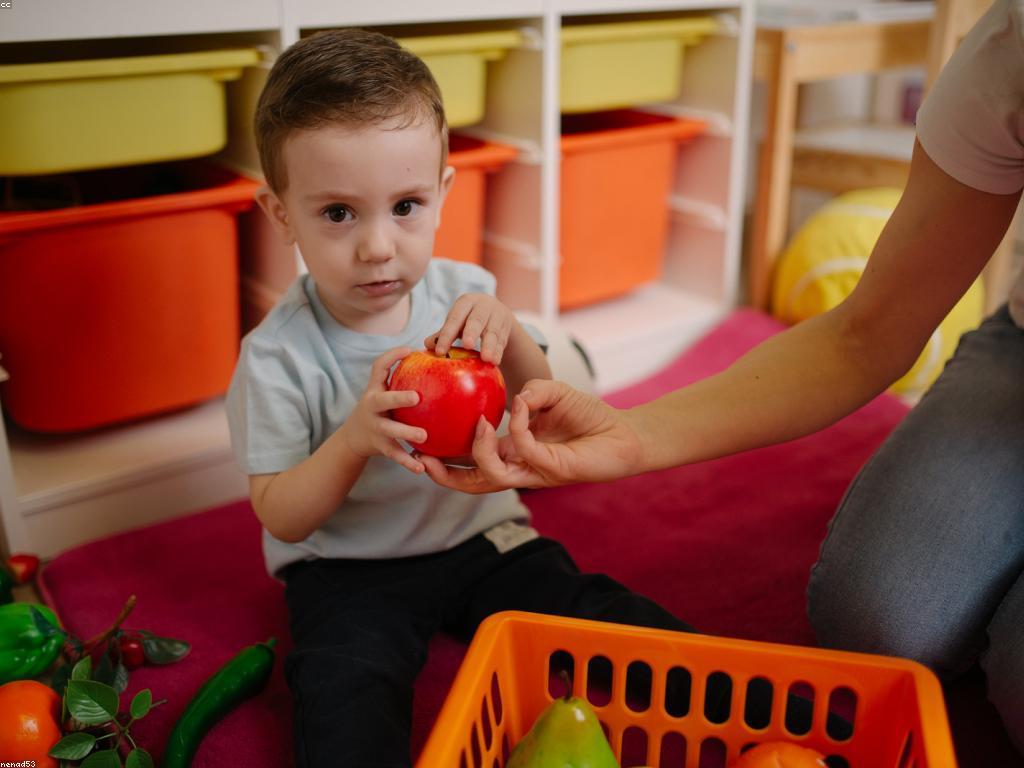 ការលេងសប្បាយ: ការបង្កើតបទពិសោធន៍សប្បាយរីករាយ