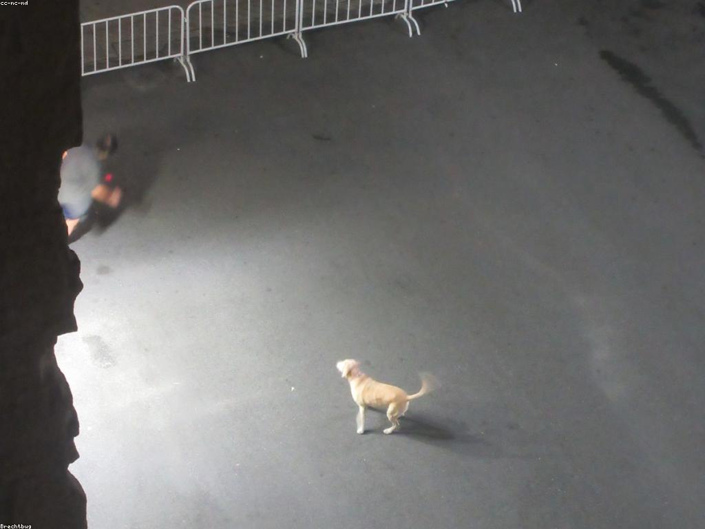 យុទ្ធសាស្ត្រលេងឥតគិតថ្លៃ: របៀបបង្កើនការលេងជាមួយឥតគិតថ្លៃ