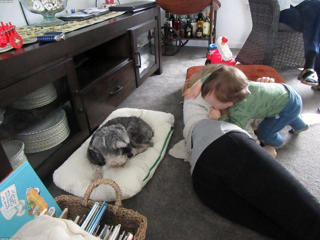 ការលេងសប្បាយ: របៀបសម្រួលលំហាត់សម្រាប់គ្រួសារ