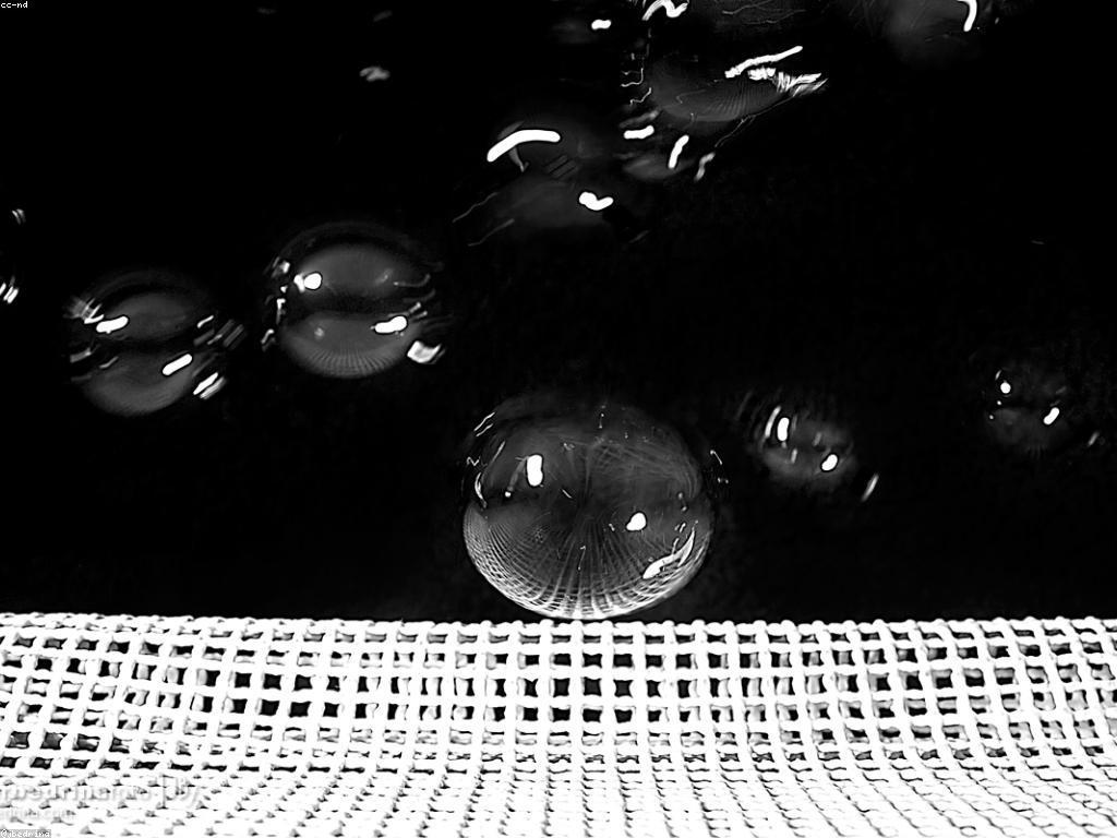 យុទ្ធសាស្ត្រលេងឥតគិតថ្លៃ: របៀបបង្កើតអត្ថប្រយោជន៍ក្នុងពិភពអ៊ីនធឺណិត